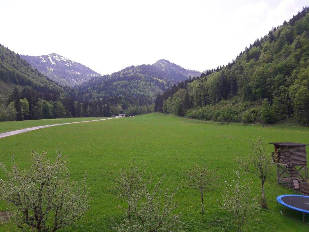Biobauernhof Hauserbauer Appartement *