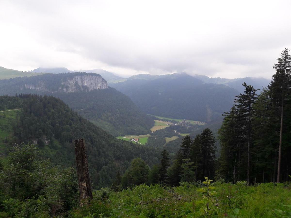 Biobauernhof Hauserbauer Appartement *